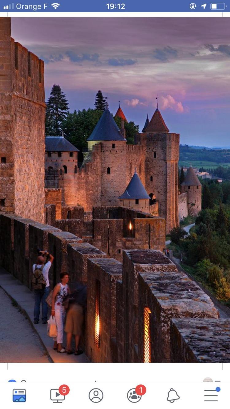 L'Oree De La Cite Villa Carcassonne Ngoại thất bức ảnh