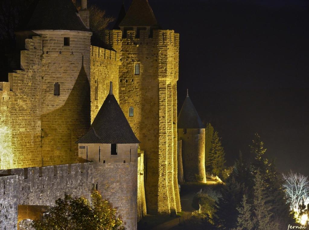 L'Oree De La Cite Villa Carcassonne Ngoại thất bức ảnh